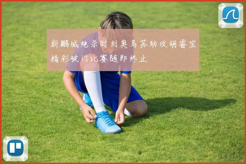新鹏城绝杀时刻奥乌苏助攻胡睿宝精彩破门比赛随即终止